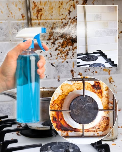 kitchen cleaning spray
dirty gas stove cleaning
grease stain remover
rust and grime removal
stovetop cleaner
kitchen degreaser spray
gas burner cleaning
grease buildup removal
dirty kitchen surface
cleaning solution spray bottle